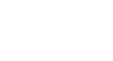 Nexa Motors